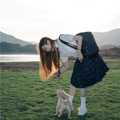 暴力的种子
